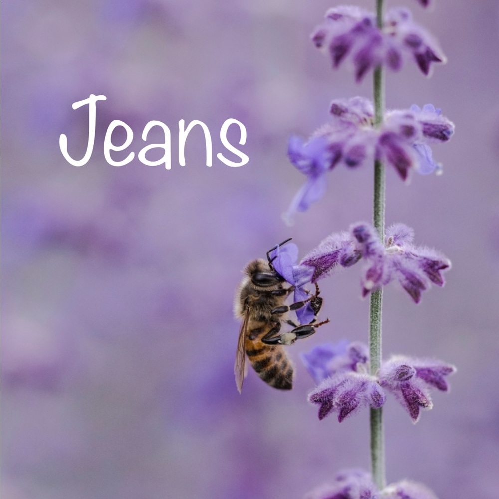 You are entering the Jeans Section